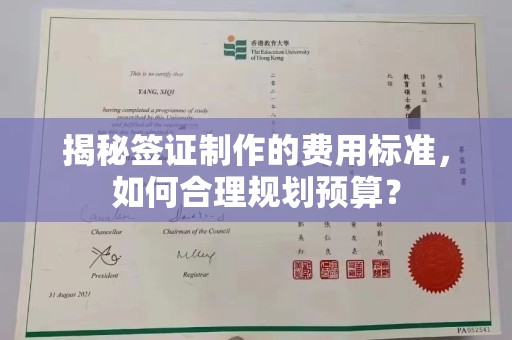 西咸揭秘签证制作的费用标准，如何合理规划预算？