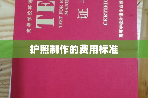 西咸护照制作的费用标准