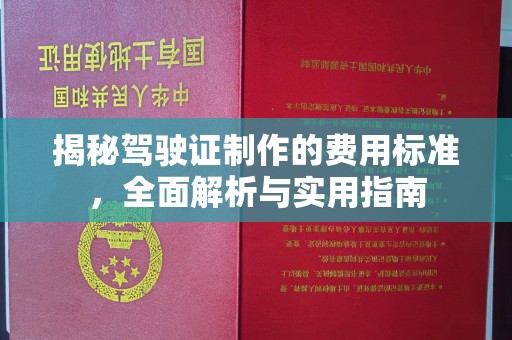 西咸揭秘驾驶证制作的费用标准，全面解析与实用指南