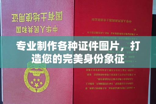 西咸专业制作各种证件图片，打造您的完美身份象征