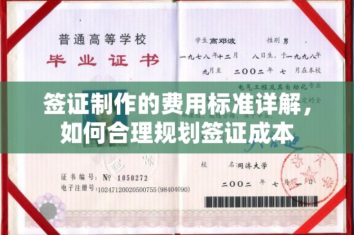 西咸签证制作的费用标准详解，如何合理规划签证成本